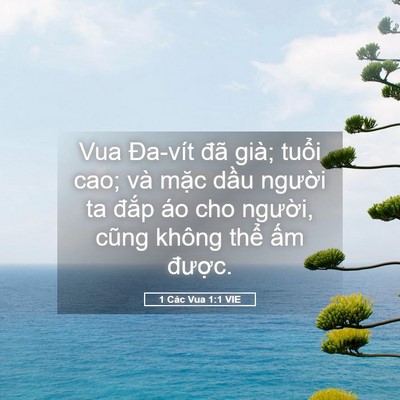 Picture 05 - 1 Các Vua 1:1 VIE - Vua Đa-vít đã già; tuổi cao; và mặc - Bible Verse Picture