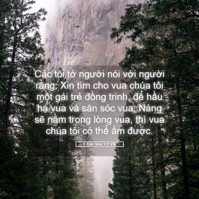 Picture 05 - 1 Các Vua 1:2 VIE - Các tôi tớ người nói với người - Bible Verse Picture