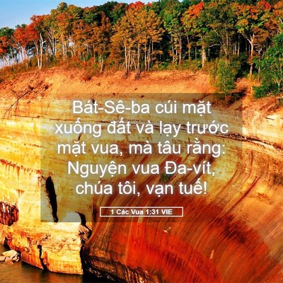 Picture 05 - 1 Các Vua 1:31 VIE - Bát-Sê-ba cúi mặt xuống đất và lạy - Bible Verse Picture