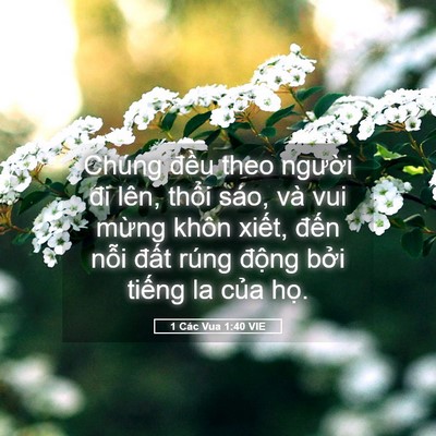 Picture 05 - 1 Các Vua 1:40 VIE - Chúng đều theo người đi lên, thổi - Bible Verse Picture