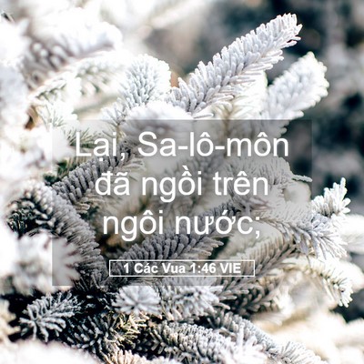 Picture 05 - 1 Các Vua 1:46 VIE - Lại, Sa-lô-môn đã ngồi trên ngôi - Bible Verse Picture