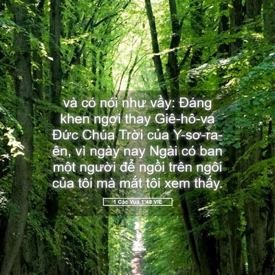 Picture 05 - 1 Các Vua 1:48 VIE - và có nói như vầy: Đáng khen ngợi thay - Bible Verse Picture