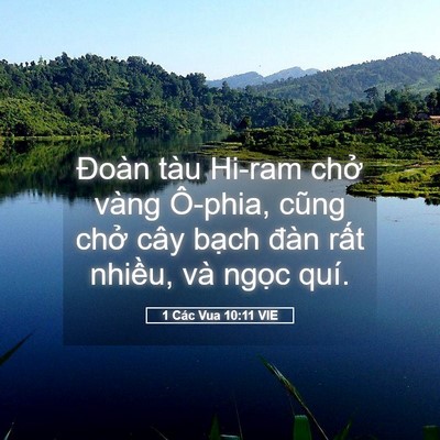 Picture 05 - 1 Các Vua 10:11 VIE - Đoàn tàu Hi-ram chở vàng Ô-phia, cũng - Bible Verse Picture