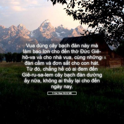 Picture 05 - 1 Các Vua 10:12 VIE - Vua dùng cây bạch đàn này mà làm bao - Bible Verse Picture