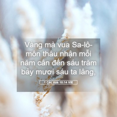 Picture 05 - 1 Các Vua 10:14 VIE - Vàng mà vua Sa-lô-môn thâu nhận mỗi năm - Bible Verse Picture