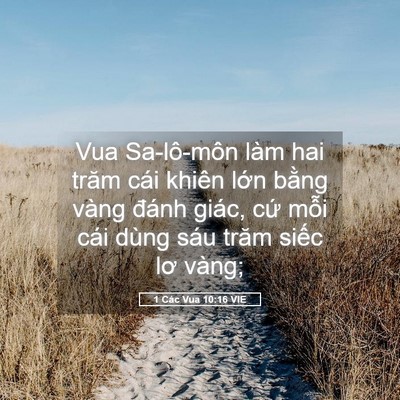 Picture 05 - 1 Các Vua 10:16 VIE - Vua Sa-lô-môn làm hai trăm cái khiên lớn - Bible Verse Picture
