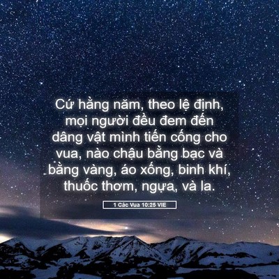 Picture 05 - 1 Các Vua 10:25 VIE - Cứ hằng năm, theo lệ định, mọi - Bible Verse Picture