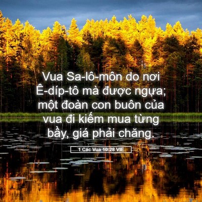 Picture 05 - 1 Các Vua 10:28 VIE - Vua Sa-lô-môn do nơi Ê-díp-tô mà được - Bible Verse Picture