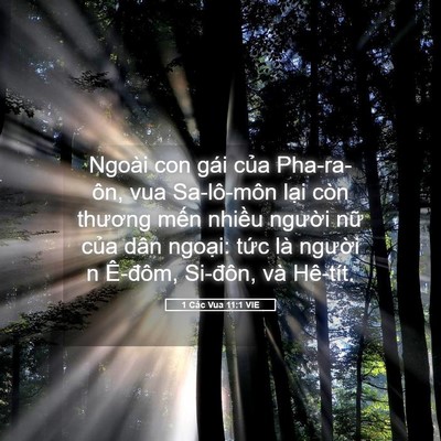 Picture 05 - 1 Các Vua 11:1 VIE - Ngoài con gái của Pha-ra-ôn, vua Sa-lô-môn - Bible Verse Picture