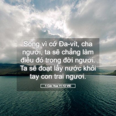 Picture 05 - 1 Các Vua 11:12 VIE - Song vì cớ Đa-vít, cha ngươi, ta sẽ - Bible Verse Picture