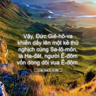 Picture 05 - 1 Các Vua 11:14 VIE - Vậy, Đức Giê-hô-va khiến dấy lên - Bible Verse Picture