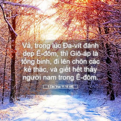 Picture 05 - 1 Các Vua 11:15 VIE - Vả, trong lúc Đa-vít đánh dẹp Ê-đôm, - Bible Verse Picture