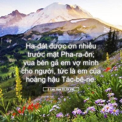 Picture 05 - 1 Các Vua 11:19 VIE - Ha-đát được ơn nhiều trước mặt - Bible Verse Picture