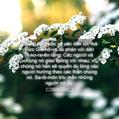 Picture 05 - 1 Các Vua 11:2 VIE - Chúng nó thuộc về các dân tộc mà - Bible Verse Picture