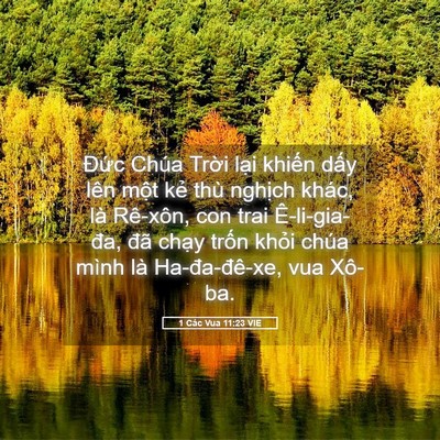 Picture 05 - 1 Các Vua 11:23 VIE - Đức Chúa Trời lại khiến dấy lên - Bible Verse Picture