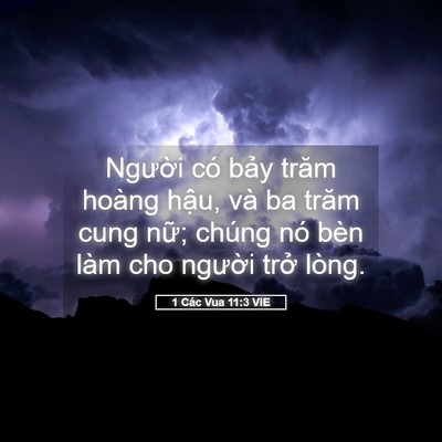 Picture 05 - 1 Các Vua 11:3 VIE - Người có bảy trăm hoàng hậu, và ba - Bible Verse Picture