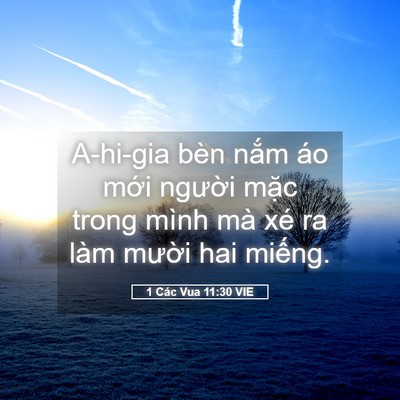 Picture 05 - 1 Các Vua 11:30 VIE - A-hi-gia bèn nắm áo mới người mặc - Bible Verse Picture