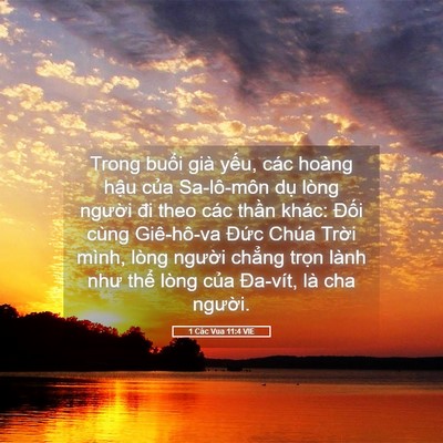 Picture 05 - 1 Các Vua 11:4 VIE - Trong buổi già yếu, các hoàng hậu của - Bible Verse Picture