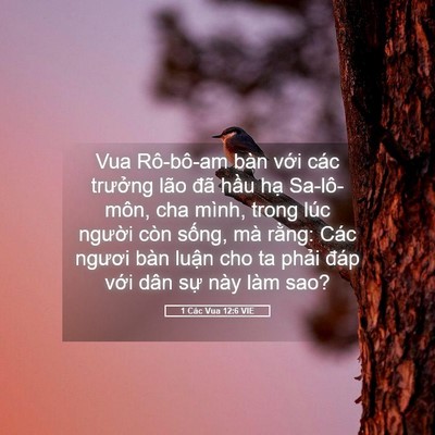 Picture 05 - 1 Các Vua 12:6 VIE - Vua Rô-bô-am bàn với các trưởng lão - Bible Verse Picture