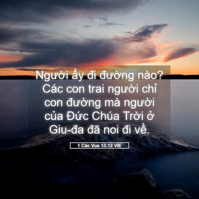 Picture 05 - 1 Các Vua 13:12 VIE - Người ấy đi đường nào? Các con trai - Bible Verse Picture