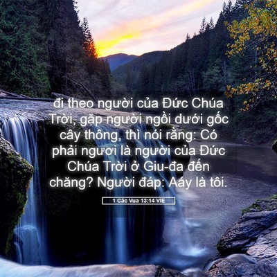 Picture 05 - 1 Các Vua 13:14 VIE - đi theo người của Đức Chúa Trời, - Bible Verse Picture