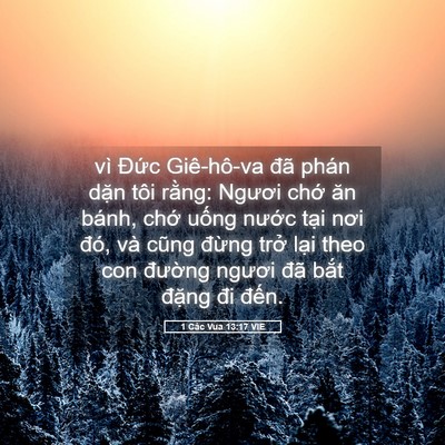 Picture 05 - 1 Các Vua 13:17 VIE - vì Đức Giê-hô-va đã phán dặn tôi - Bible Verse Picture