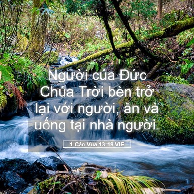 Picture 05 - 1 Các Vua 13:19 VIE - Người của Đức Chúa Trời bèn trở - Bible Verse Picture