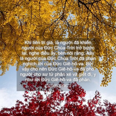 Picture 05 - 1 Các Vua 13:26 VIE - Khi tiên tri già, là người đã khiến - Bible Verse Picture