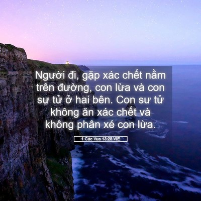 Picture 05 - 1 Các Vua 13:28 VIE - Người đi, gặp xác chết nằm trên - Bible Verse Picture