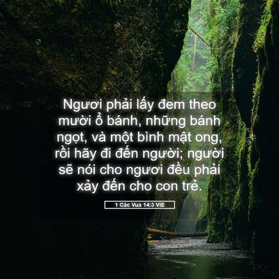 Picture 05 - 1 Các Vua 14:3 VIE - Ngươi phải lấy đem theo mười ổ bánh, - Bible Verse Picture