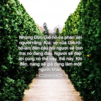 Picture 05 - 1 Các Vua 14:5 VIE - Nhưng Đức Giê-hô-va phán với người - Bible Verse Picture