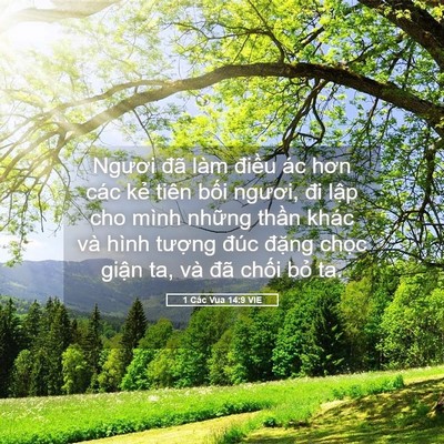 Picture 05 - 1 Các Vua 14:9 VIE - Ngươi đã làm điều ác hơn các kẻ - Bible Verse Picture
