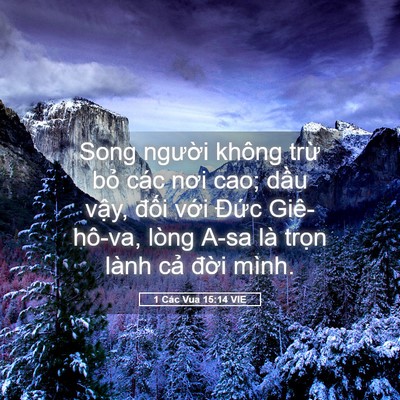Picture 05 - 1 Các Vua 15:14 VIE - Song người không trừ bỏ các nơi cao; - Bible Verse Picture