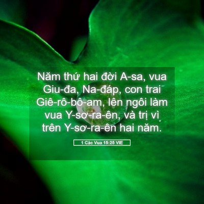 Picture 05 - 1 Các Vua 15:25 VIE - Năm thứ hai đời A-sa, vua Giu-đa, - Bible Verse Picture