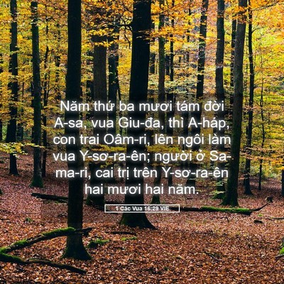 Picture 05 - 1 Các Vua 16:29 VIE - Năm thứ ba mươi tám đời A-sa, vua - Bible Verse Picture