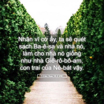 Picture 05 - 1 Các Vua 16:3 VIE - Nhân vì cớ ấy, ta sẽ quét sạch - Bible Verse Picture