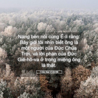 Picture 05 - 1 Các Vua 17:24 VIE - Nàng bèn nói cùng Ê-li rằng: Bây giờ - Bible Verse Picture
