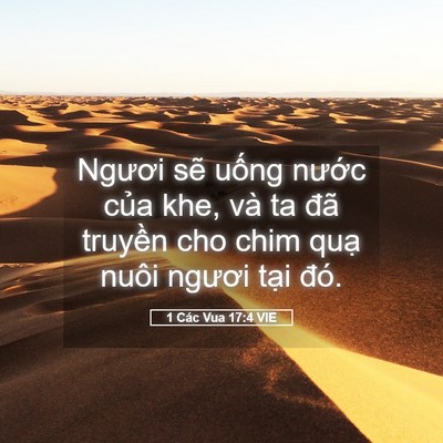 Picture 05 - 1 Các Vua 17:4 VIE - Ngươi sẽ uống nước của khe, và ta - Bible Verse Picture