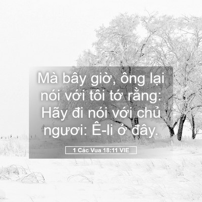 Picture 05 - 1 Các Vua 18:11 VIE - Mà bây giờ, ông lại nói với tôi tớ - Bible Verse Picture