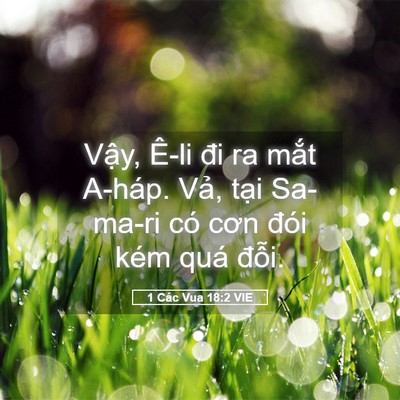 Picture 05 - 1 Các Vua 18:2 VIE - Vậy, Ê-li đi ra mắt A-háp. Vả, tại - Bible Verse Picture