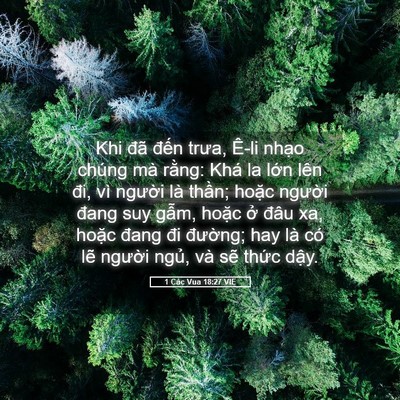 Picture 05 - 1 Các Vua 18:27 VIE - Khi đã đến trưa, Ê-li nhạo chúng mà - Bible Verse Picture
