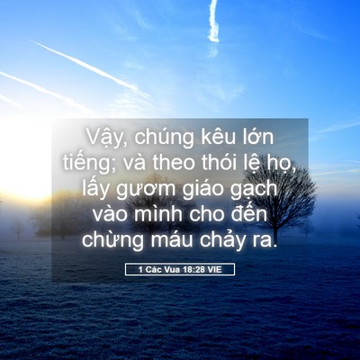 Picture 05 - 1 Các Vua 18:28 VIE - Vậy, chúng kêu lớn tiếng; và theo thói - Bible Verse Picture