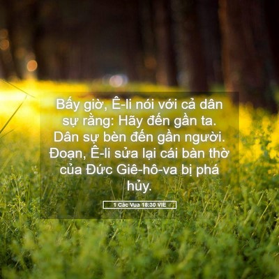 Picture 05 - 1 Các Vua 18:30 VIE - Bấy giờ, Ê-li nói với cả dân sự - Bible Verse Picture
