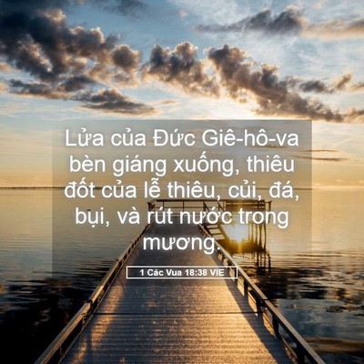 Picture 05 - 1 Các Vua 18:38 VIE - Lửa của Đức Giê-hô-va bèn giáng - Bible Verse Picture