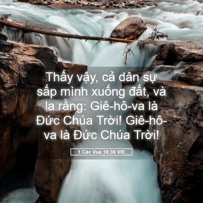 Picture 05 - 1 Các Vua 18:39 VIE - Thấy vậy, cả dân sự sấp mình xuống - Bible Verse Picture