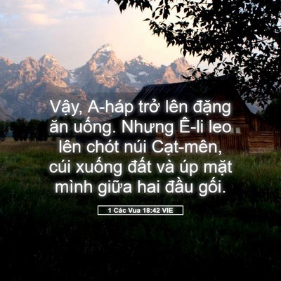 Picture 05 - 1 Các Vua 18:42 VIE - Vậy, A-háp trở lên đặng ăn uống. - Bible Verse Picture