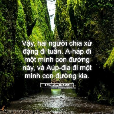 Picture 05 - 1 Các Vua 18:6 VIE - Vậy, hai người chia xứ đặng đi tuần. - Bible Verse Picture