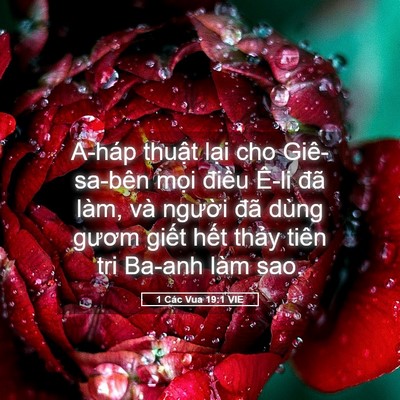 Picture 05 - 1 Các Vua 19:1 VIE - A-háp thuật lại cho Giê-sa-bên mọi - Bible Verse Picture