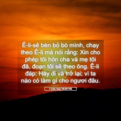 Picture 05 - 1 Các Vua 19:20 VIE - Ê-li-sê bèn bỏ bò mình, chạy theo Ê-li - Bible Verse Picture