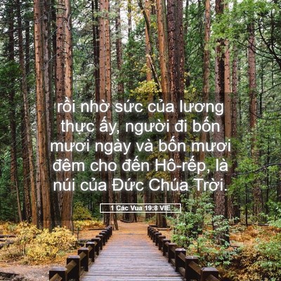 Picture 05 - 1 Các Vua 19:8 VIE - rồi nhờ sức của lương thực ấy, - Bible Verse Picture